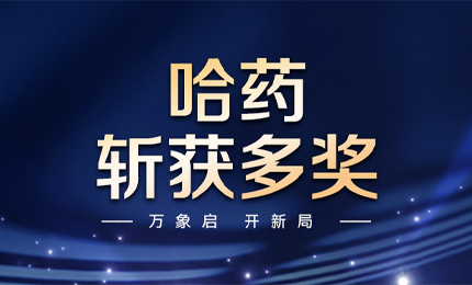 【喜讯】万象启，开新局，利记sbobet斩获多枚奖项