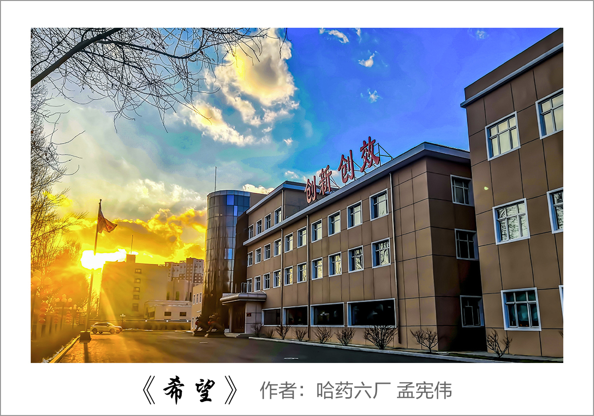 【迎国庆 展风采】我眼中的利记sbobet——职工摄影大赛作品展示！
